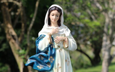 ESTUDIO | LA INMACULADA CONCEPCIÓN DE MARÍA.  Significado para la Iglesia y experiencia en María Mazzarello.